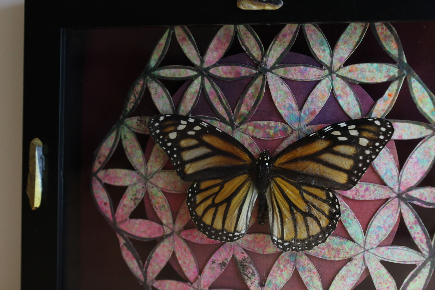 Sacred Flight