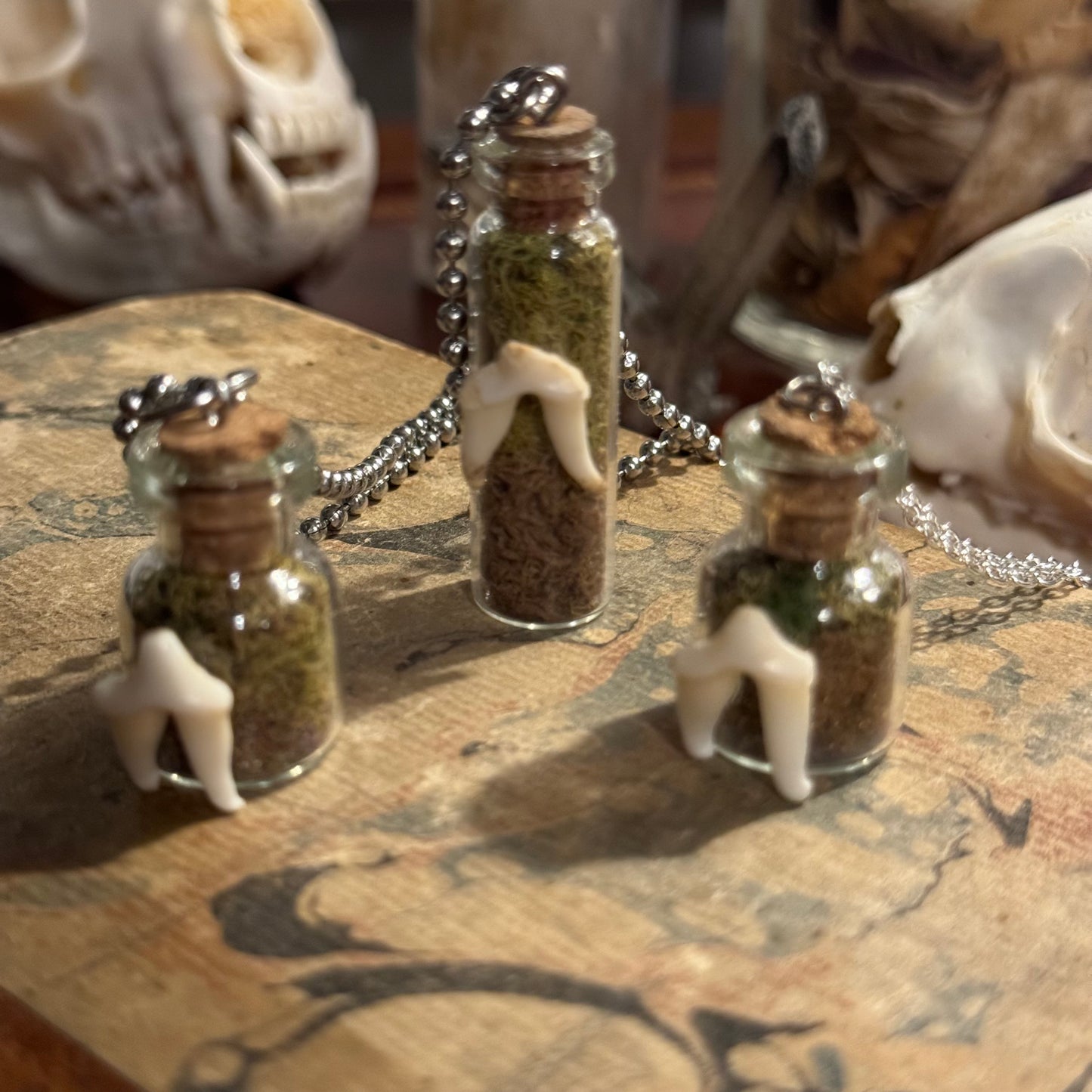 Coyote Tooth Vials