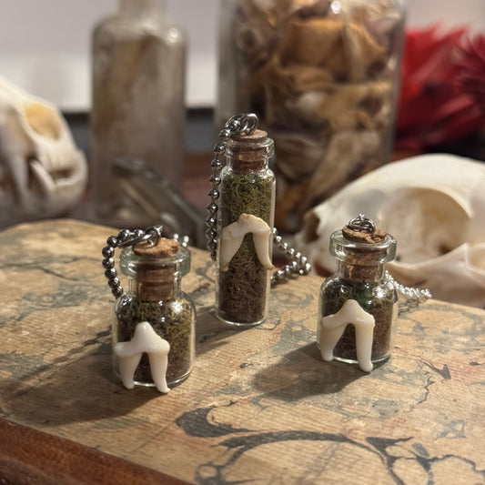 Coyote Tooth Vials